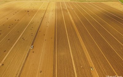 Drone – Agriculture