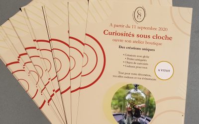 Flyers Curiosités sous cloches
