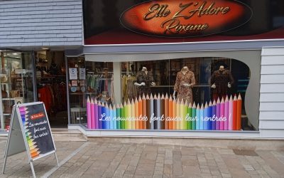 Adhésif de vitrine