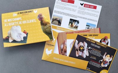 Chemises à rabats – Ferme