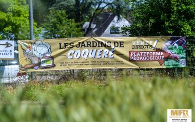 Banderole – Etablissement scolaire