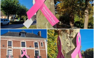 Noeuds personnalisés – Octobre rose
