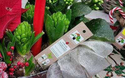 Étiquettes – Fleuriste